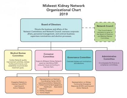 Organizational Structure | Midwest Kidney Network | MI ... kidney structure diagram 